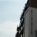 Design Museum1.JPG